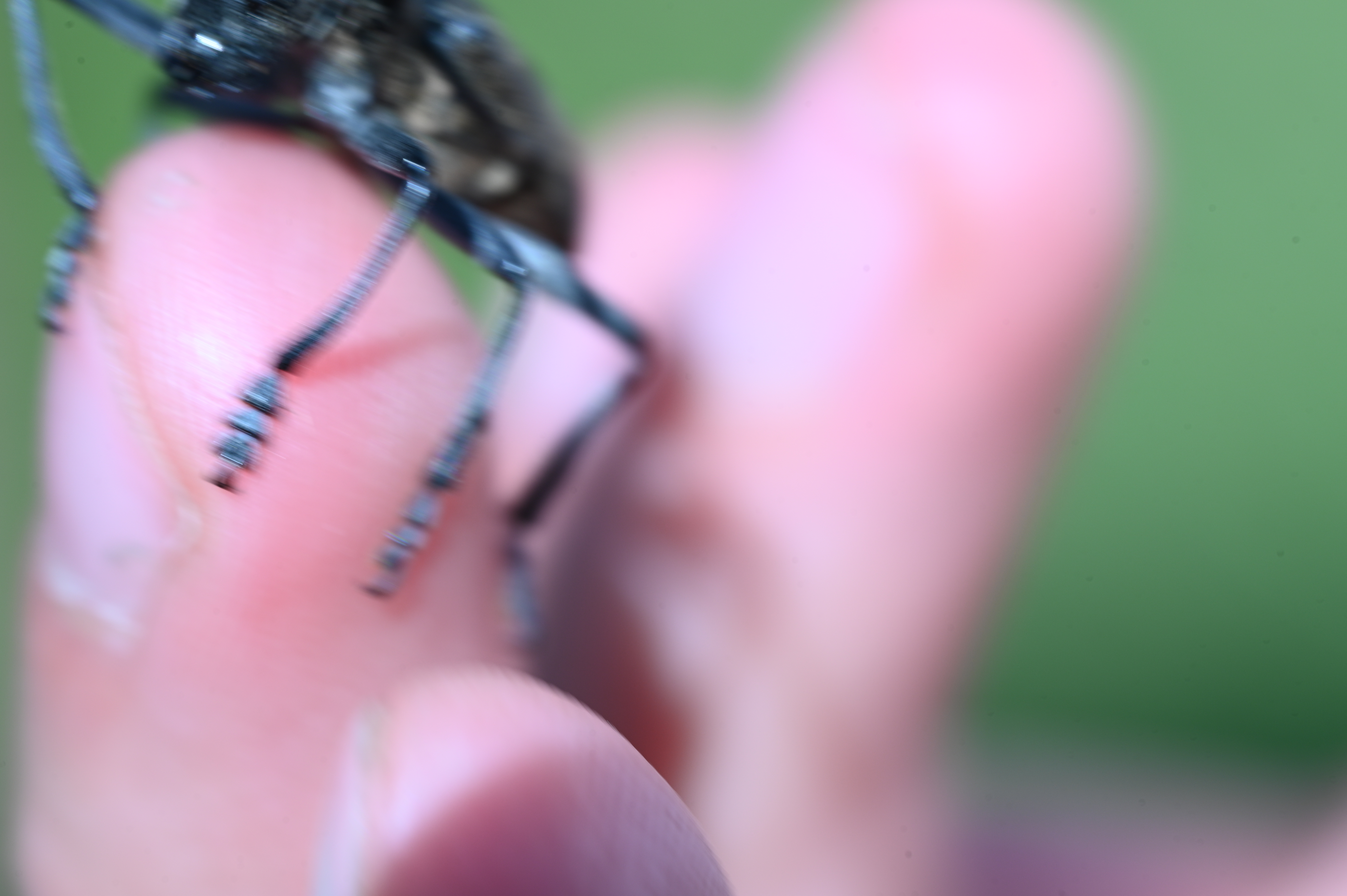 2025/07/09-14 - trip/DSC_0129.JPG